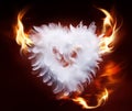 Art soft fluffy heart