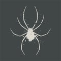 Art spider illustration