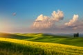 Art spring farmland and country road; tuscany countryside rolling hills Royalty Free Stock Photo