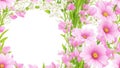 Art spring flowers frame abstract nature background Royalty Free Stock Photo