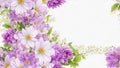 Art spring flowers frame abstract nature background Royalty Free Stock Photo