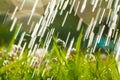 Art Spring Natural Green Background, Clover Flowers and rain drops Royalty Free Stock Photo