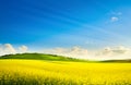 Art springtime rural landscape. rape spring field and blue sky horizon Royalty Free Stock Photo