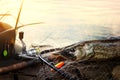 Successful fishing. Caught Pike fish and fishing tackle on wooden Dock Royalty Free Stock Photo