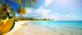 Art summer holiday on tropical sea sandy beach banner design with copy space Royalty Free Stock Photo