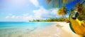 Art summer holiday on tropical sea sandy beach banner design with copy space Royalty Free Stock Photo