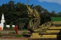 art thai backgeound pattern dragon texture ubonratchathani watthai gold