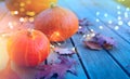 Art thanksgiving holiday party background, autumn pumpkin and holidays light decoration Royalty Free Stock Photo