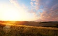 Typical Tuscany landscape; sunset over rolling hills Royalty Free Stock Photo