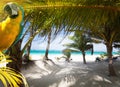 Art Vacation on Caribbean Paradise Royalty Free Stock Photo