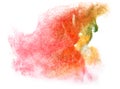 Art watercolor ink paint blob watercolour splash colorful stain Royalty Free Stock Photo