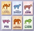 Art wild animals brochure cards. Jungle template of flyear, magazines, posters, book cover, banners, booklet. idea infographic con