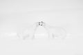 Art wildllife. Black and white art photo of two polar bears fighting on drifting ice in Arctic Svalbard. Animal fight in white