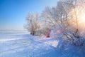 Art winter Landscape with Frozen lake and snowy trees