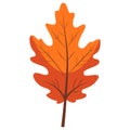 2D Illustration of Red-Orange Autumn Leaf Royalty Free Stock Photo