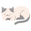 2D Illustration of White Sleeping Cat with Gray Spots Royalty Free Stock Photo