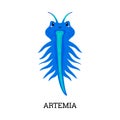 Artemia or brine shrimp aquatic animal kawaii flat vector illustration isolated.