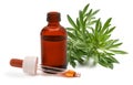 artemisia with essence bottle Royalty Free Stock Photo
