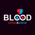 Arterial and venous blood, blood circulation conceptual vector i