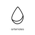 Arterioles icon. Trendy modern flat linear vector Arterioles icon on white background from thin line sauna collection Royalty Free Stock Photo