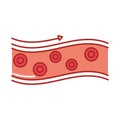 artery blood flow