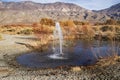 Artesian Spring In Owens Valley Royalty Free Stock Photo
