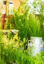 Artesian well and bucket. Royalty Free Stock Photo