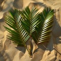 Artful arrangement of palm fronds on sandy beach