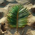 Artful arrangement of palm fronds on sandy beach