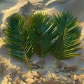 Artful arrangement of palm fronds on sandy beach