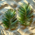 Artful arrangement of palm fronds on sandy beach