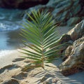 Artful arrangement of palm fronds on sandy beach