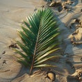 Artful arrangement of palm fronds on sandy beach