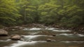 An Artful Depiction Of A Beautiful Stream In The Woods AI Generative