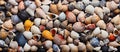 An artful mixture of sea shells, rocks, and pebbles decorate the beach Royalty Free Stock Photo