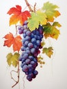 Artful Watercolor Grape Vine Fruits and Leaves AI Generated