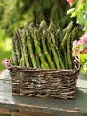 An artfully arranged stack of fresh, green asparagus spears nestled in a handwoven wicker basket, capturing the natural Royalty Free Stock Photo