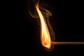 Artfully curved flame and smoke of a lit match in front of a black background Royalty Free Stock Photo