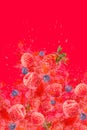 Artfully and lovingly designed photomontage with raspberries, blackberries, strawberries and water splashes in the