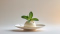 Artfully Plated Dessert with Fresh Mint Leaves on Elegant White Dish. Royalty Free Stock Photo