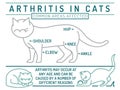 Arthritis, osteoarthritis in cats. Widespread feline disease.