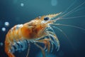 Arthropod Botan shrimp in electric blue fluid, macro photography