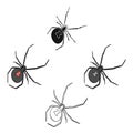 An arthropod bug is an insect.A spider, a predatory insect single icon in cartoon,black style vector symbol stock