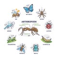 Arthropods animal group collection and segmented body anatomy outline diagram Royalty Free Stock Photo