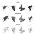 Arthropods insect beetle, moth, butterfly, fly. Insects set collection icons in black,monochrome,outline style vector