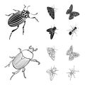 Arthropods insect beetle, moth, butterfly, fly. Insects set collection icons in black,outline style vector symbol stock