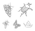 Arthropods insect beetle, moth, butterfly, fly. Insects set collection icons in outline style vector symbol stock
