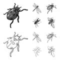 Arthropods Insect ladybird, dragonfly, beetle, Colorado beetle Insects set collection icons in outline,monochrome style