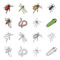 Arthropods insect mosquito, bee.Earth worm, caterpillar,vermicular set collection icons in cartoon,outline style vector