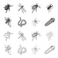 Arthropods insect mosquito, bee.Earth worm, caterpillar,vermicular set collection icons in outline,monochrome style